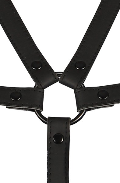 Bondage Adjustable Harness Torso & Arms