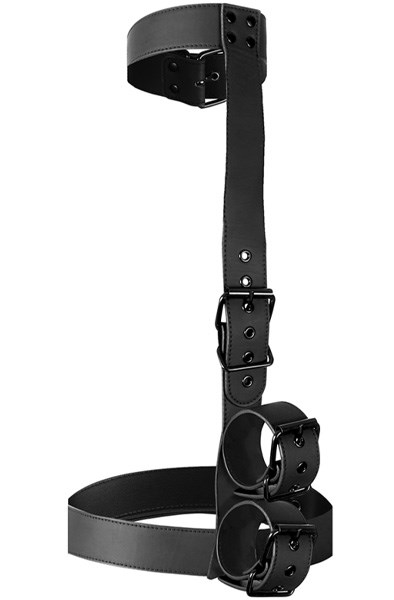 Collar & Wrist Cuffs Body Restraint Set