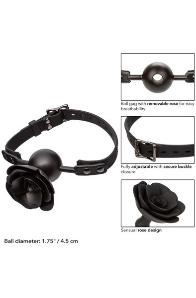 Forbidden Removable Rose Gag