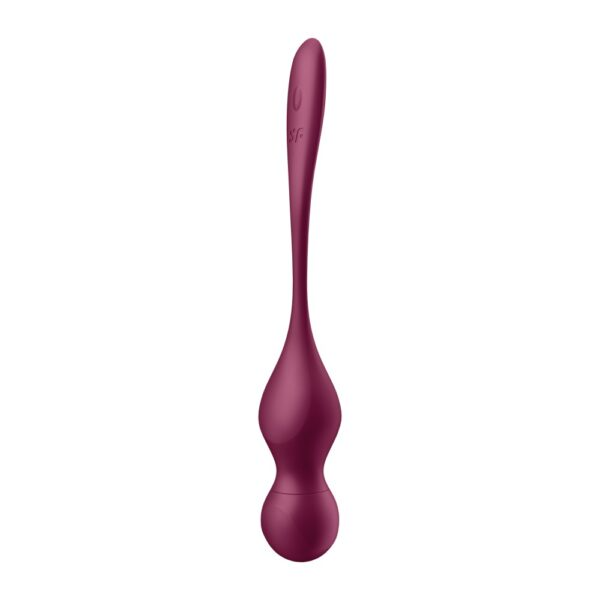 Satisfyer Love Birds Vary Connect App