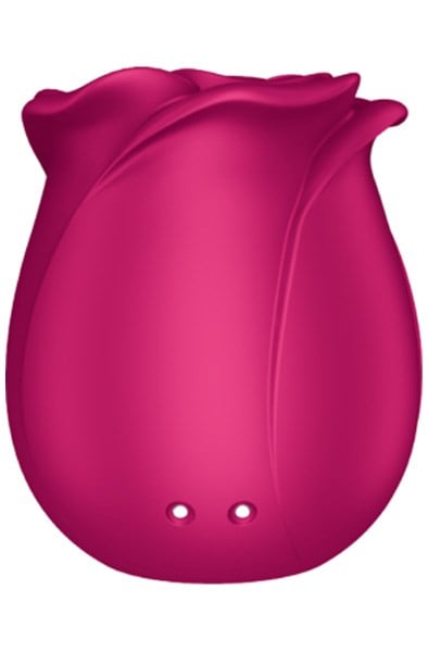 Satisfyer Pro 2 Classic Blossom